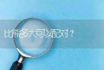 比熊多大可以配对？