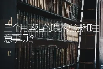 三个月蓝猫的喂养方法和注意事项？