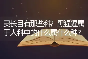 灵长目有那些科?黑猩猩属于人科中的什么属什么种？