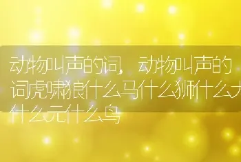 动物叫声的词，动物叫声的词虎啸狼什么马什么狮什么犬什么元什么鸟