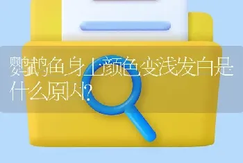 鹦鹉鱼身上颜色变浅发白是什么原因？