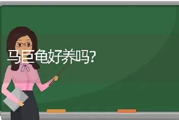 5个月大的德牧还认新主人不？