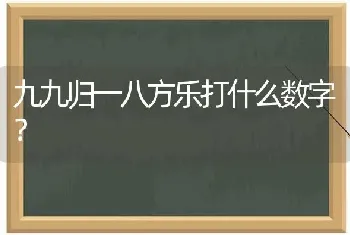 九九归一八方乐打什么数字？