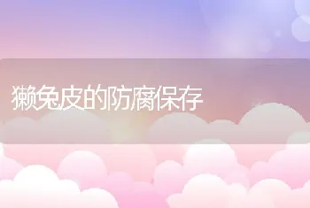 獭兔皮的防腐保存