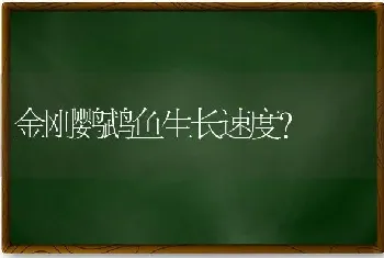 金刚鹦鹉鱼生长速度？