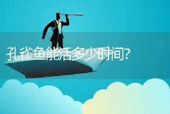 孔雀鱼能活多少时间？