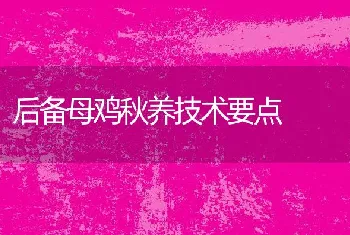 后备母鸡秋养技术要点