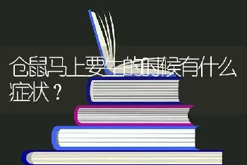 仓鼠马上要生的时候有什么症状？