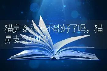 猫鼻支永远不能好了吗，猫鼻支会死吗？