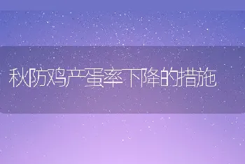 秋防鸡产蛋率下降的措施