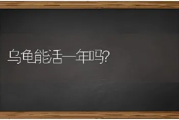 乌龟能活一年吗？