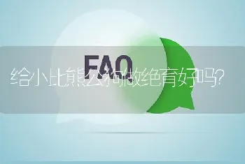 给小比熊公狗做绝育好吗？