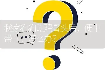 我家狗狗吃鸡骨头后，便中带血，怎么办？