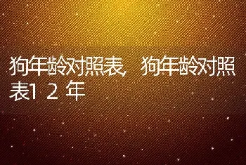 狗年龄对照表，狗年龄对照表12年