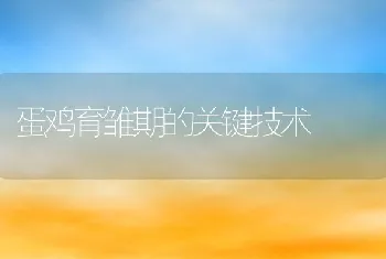 罗非鱼的病害防治：运动性气单孢菌病