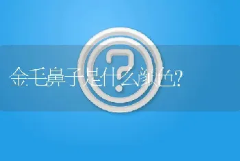 金毛鼻子是什么颜色？