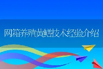 网箱养殖黄鳝技术经验介绍