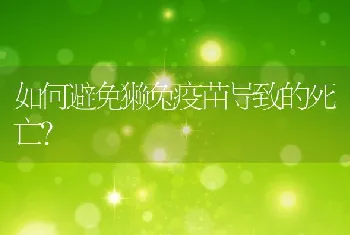 如何避免獭兔疫苗导致的死亡？