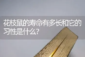 花枝鼠的寿命有多长和它的习性是什么？