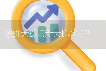 象雄天珠与新天珠区别？