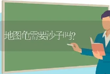 地图龟需要沙子吗？