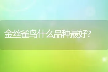 布偶猫长大毛怎么变色了？