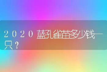 2020蓝孔雀苗多少钱一只？