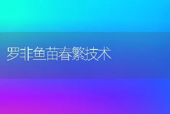 罗非鱼苗春繁技术