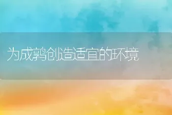 为成鹑创造适宜的环境