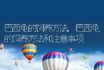 巴西龟的饲养方法，巴西龟的饲养方法和注意事项