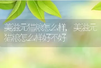 美滋元猫粮怎么样，美滋元猫粮怎么样好不好