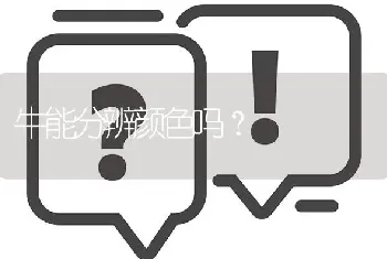 四个多月的银狐犬是什么样子的？