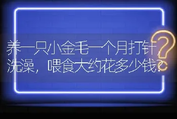 养一只小金毛一个月打针，洗澡，喂食大约花多少钱？