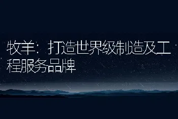 浅谈提高奶牛受胎率的有效措施