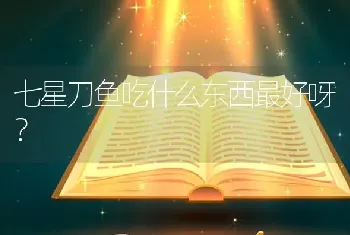 七星刀鱼吃什么东西最好呀？