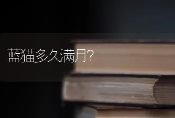 蓝猫多久满月？