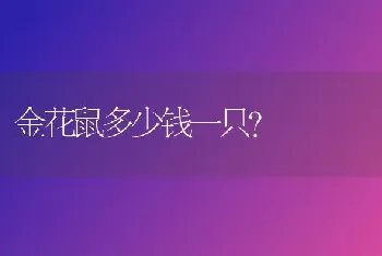 茶杯犬为什么长不大?茶杯型和微小型犬有什么区别？