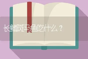 长鳍斑马鱼吃什么？