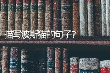 怎么教狗狗定点大小便，来个有效的，狗狗在室内养的？