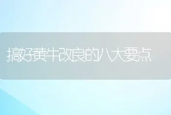 猪接种疫苗以后出现的反应及防治方法