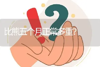 比熊五个月正常多重？