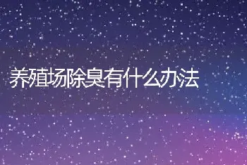 养殖场除臭有什么办法