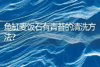 野采的虾虎鱼怎么养？