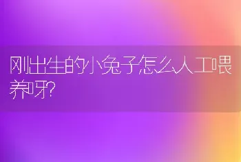 狗狗嗓子为什么有时会“咔咔”的响？