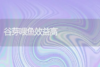 谷芽喂鱼效益高