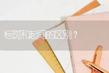 标斑和起司的区别？