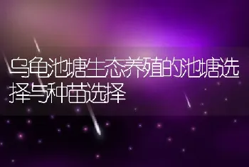 乌龟池塘生态养殖的池塘选择与种苗选择