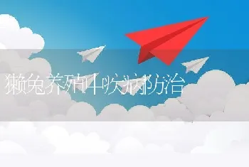 獭兔养殖中疾病防治