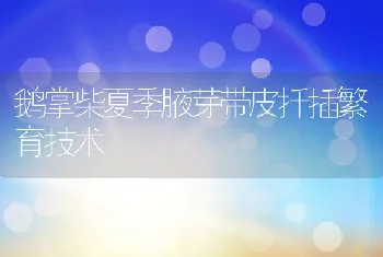 流水养鱼新技术