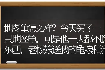 地图龟怎么样?今天买了一只地图龟，可是他一天都不吃东西，老板娘送我的龟粮和泥鳅鱼，他都不吃，我帮他？